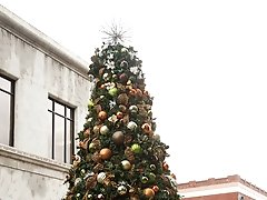 8 pictures - Lanah Adams Mission Inn Surprises I